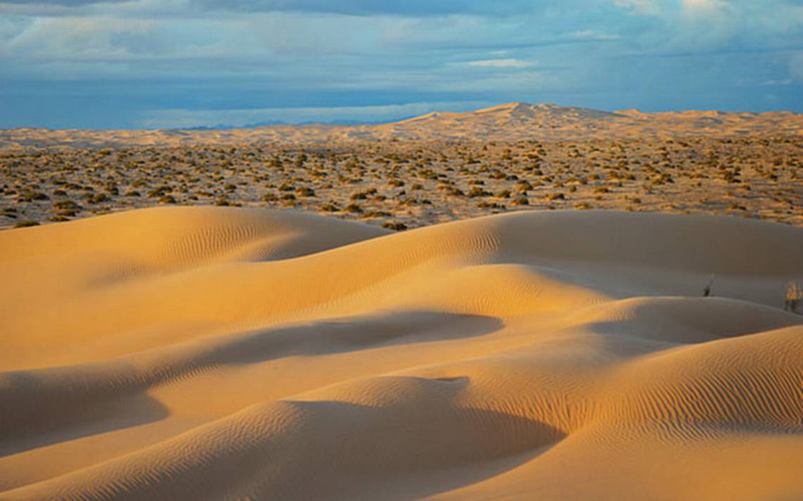 Sonora, el Gran Desierto de Altar - El Sudcaliforniano