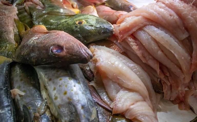 Cuida tu salud! Identifica pescados y mariscos en mal estado - El  Sudcaliforniano | Noticias Locales, Policiacas, sobre México, Baja  California Sur y el Mundo