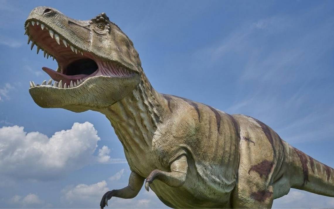 Así puedes ver un dinosaurio en 3D con Google - El Sudcaliforniano |  Noticias Locales, Policiacas, sobre México, Baja California Sur y el Mundo