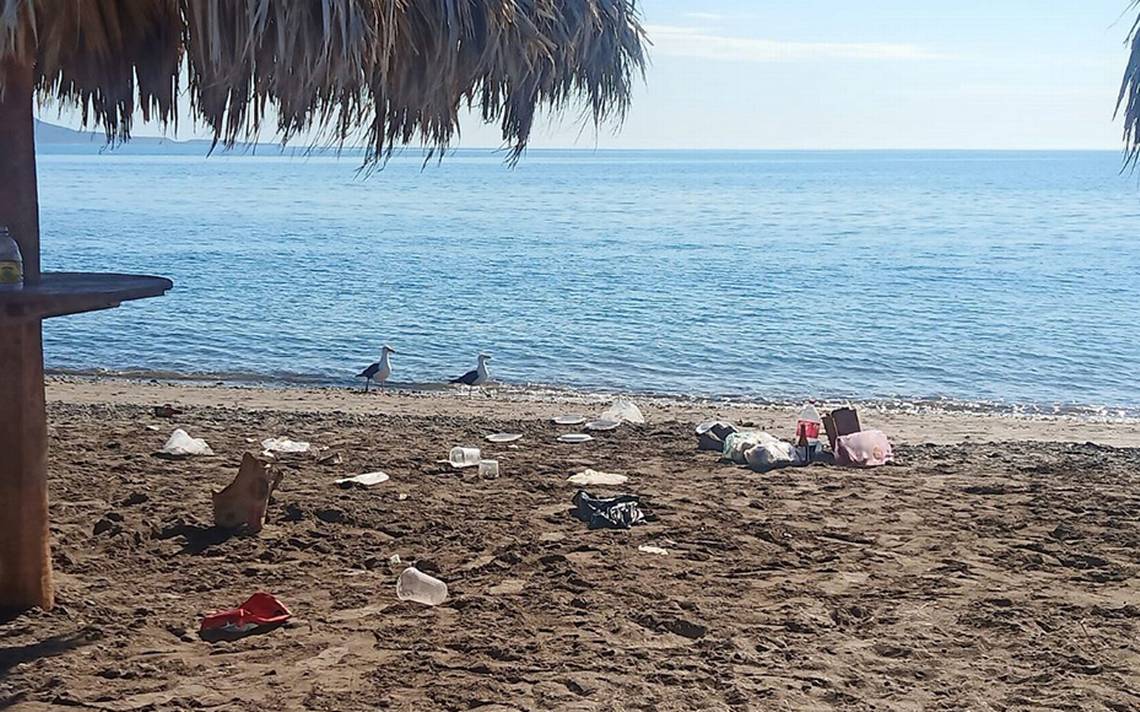Sigue la contaminación en las playas del municipio de Loreto - El  Sudcaliforniano | Noticias Locales, Policiacas, sobre México, Baja  California Sur y el Mundo